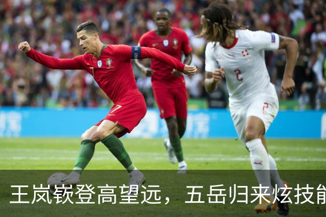 王岚嵚登高望远，五岳归来炫技能！